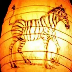 lampion-zebre